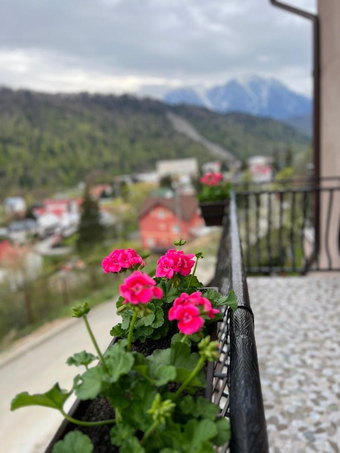 Casa Timeva Азуга Екстер'єр фото