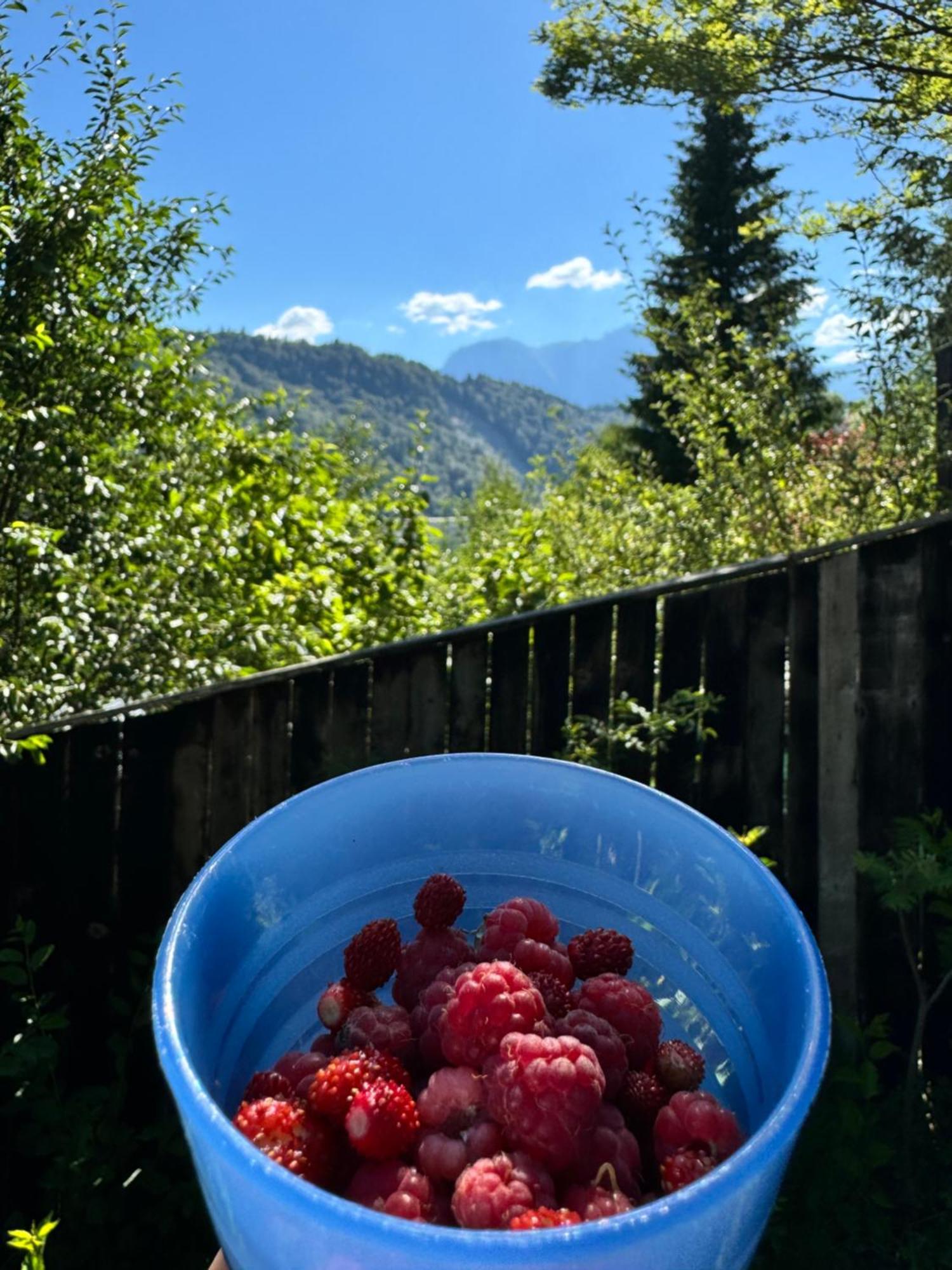 Casa Timeva Азуга Екстер'єр фото